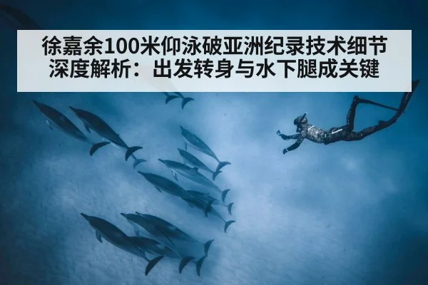 徐嘉余100米仰泳破亚洲纪录技术细节深度解析：出发转身与水下腿成关键