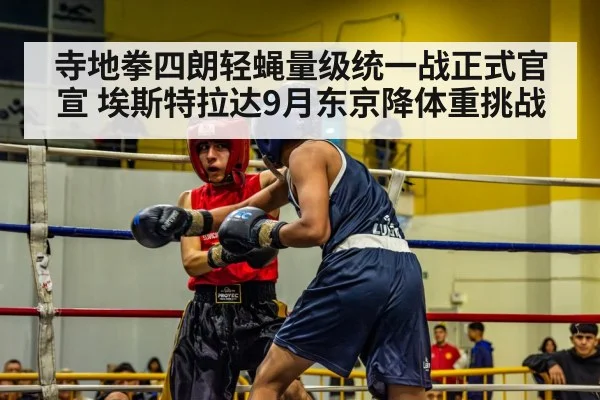 boxing match